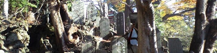 02.jpg