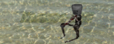 komusou_in_water_230_90.jpg