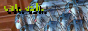 �ɐl�̏W�� cat: ash: